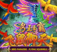 Bird Paradise — game at Maggie8